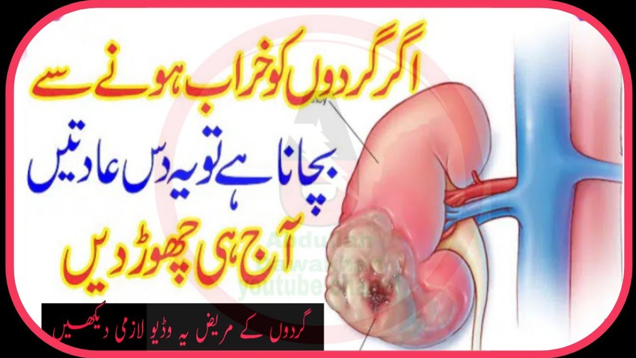 10 Bad babits ruin your kidneys,kidney failure symptoms in ...