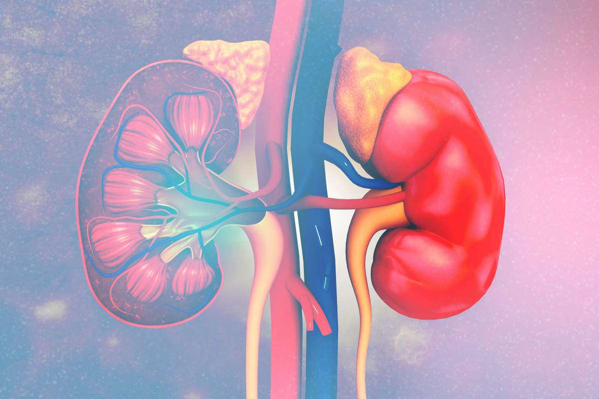 10 Steps to Better Manage Chronic Kidney Disease