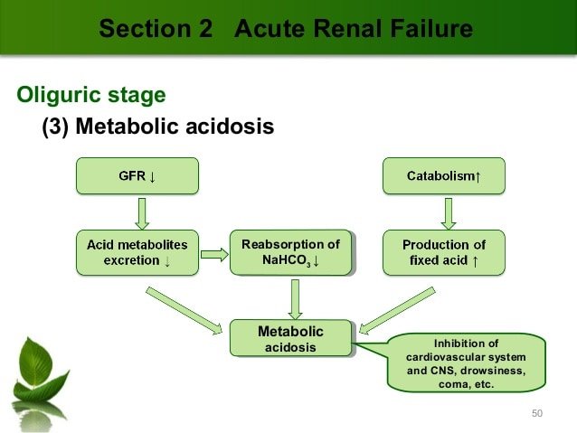 Why Does Kidney Failure Cause Metallic Taste