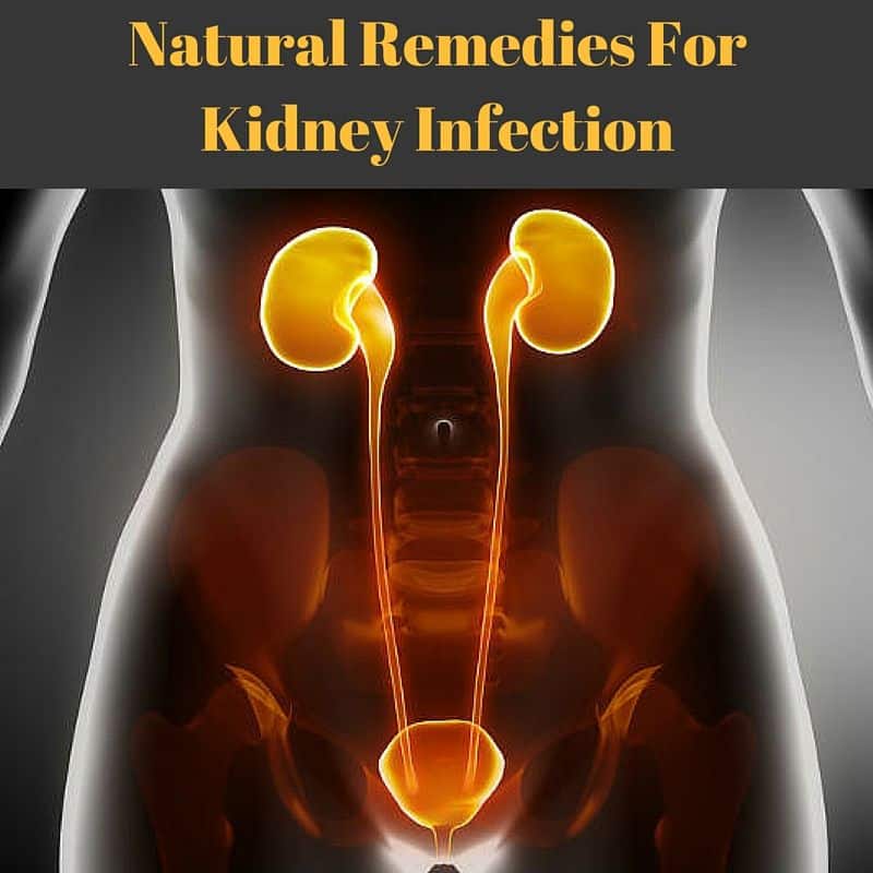 13 Natural Remedies For Kidney Infection That Are Available In Your ...