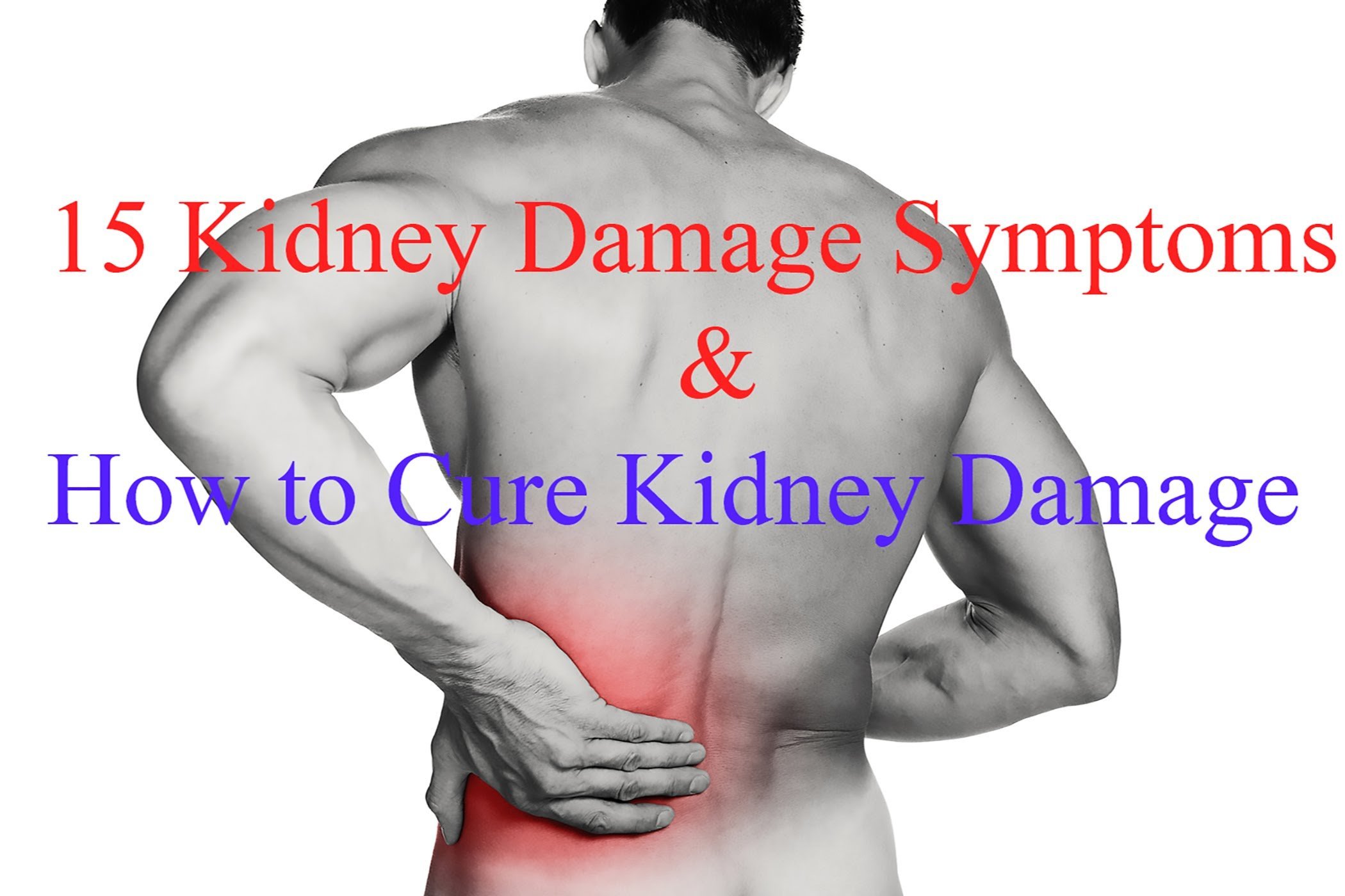 15 Kidney Damage Symptoms