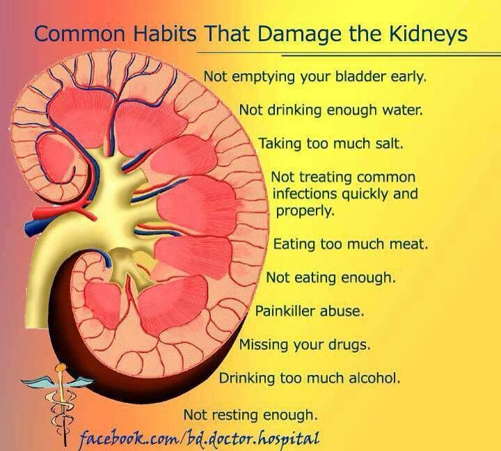 152 best Kidney Info images on Pinterest