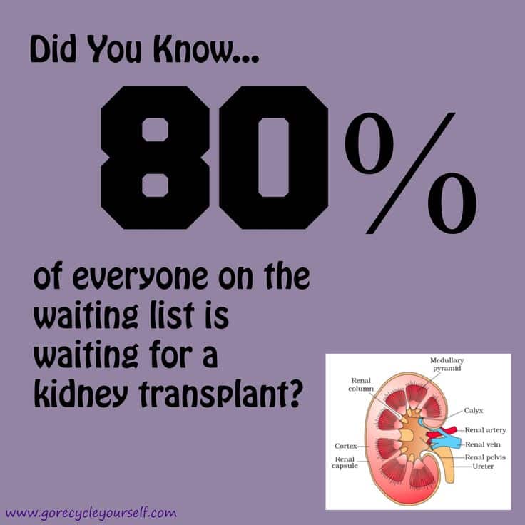 20 best images about National Kidney Month on Pinterest