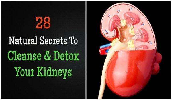 28 Natural Secrets To Cleanse &  Detox Your Kidneys