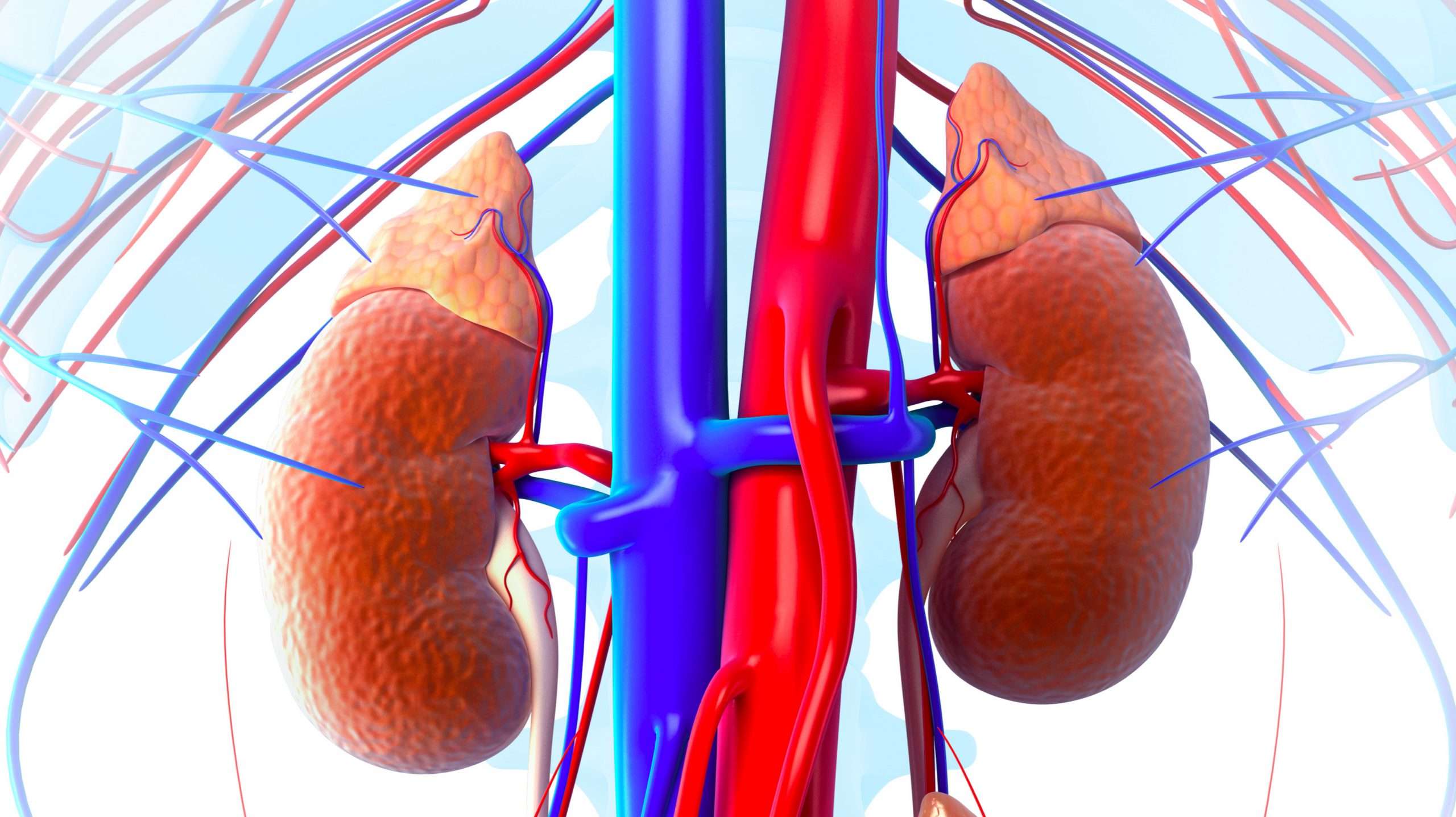 3 Common Ways Kidneys Get Damaged Acutely