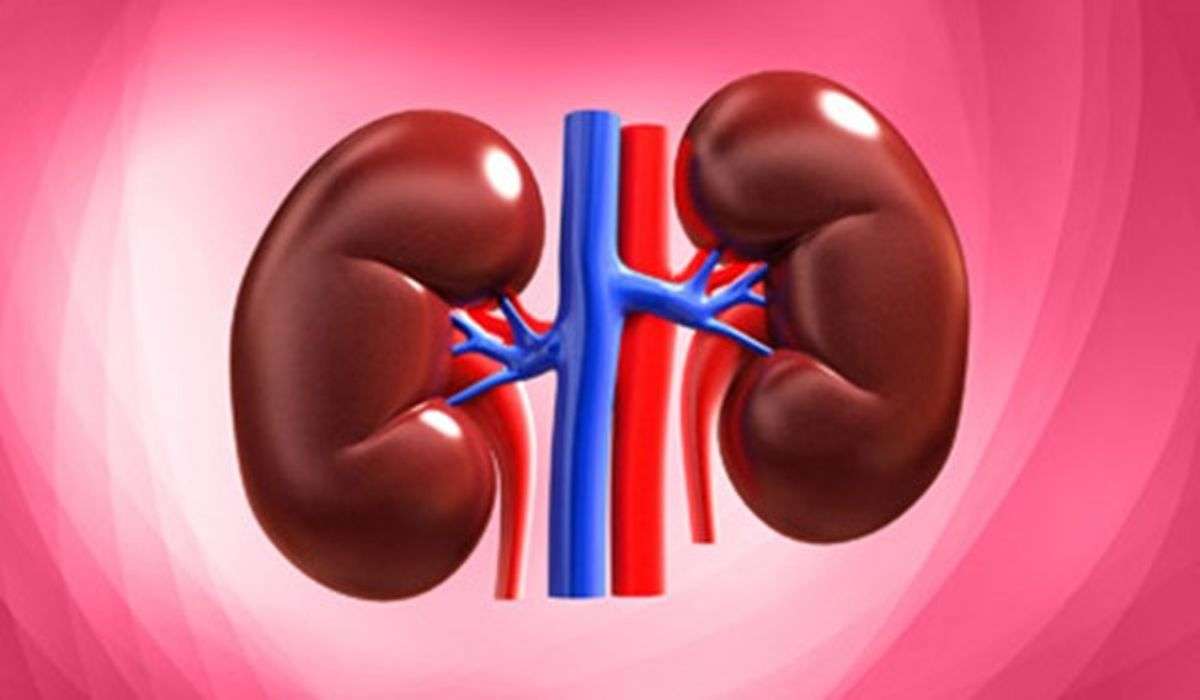 3 foods that are actually damaging your kidney
