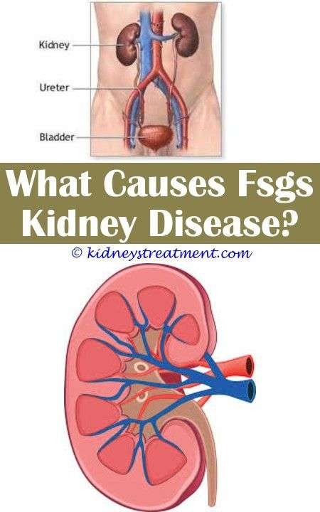 3 Nice Clever Tips: Kidney Diet Gluten Free kidney ...