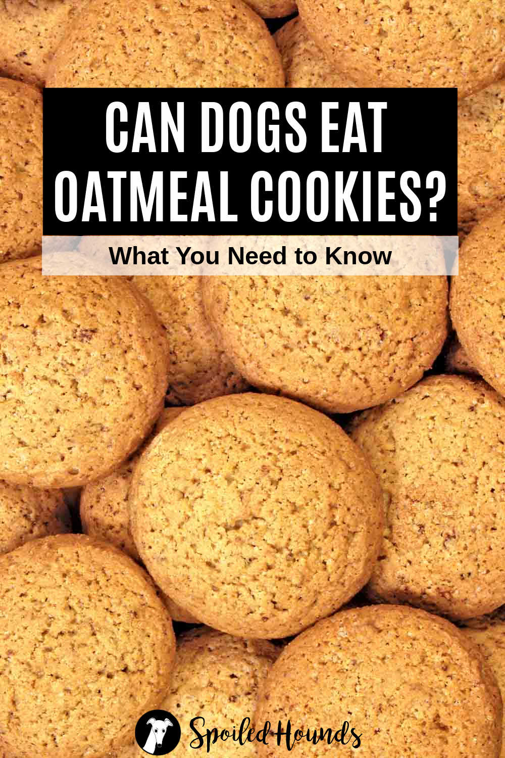 4 Simple Techniques For Can Dogs Eat Oatmeal Cookies?