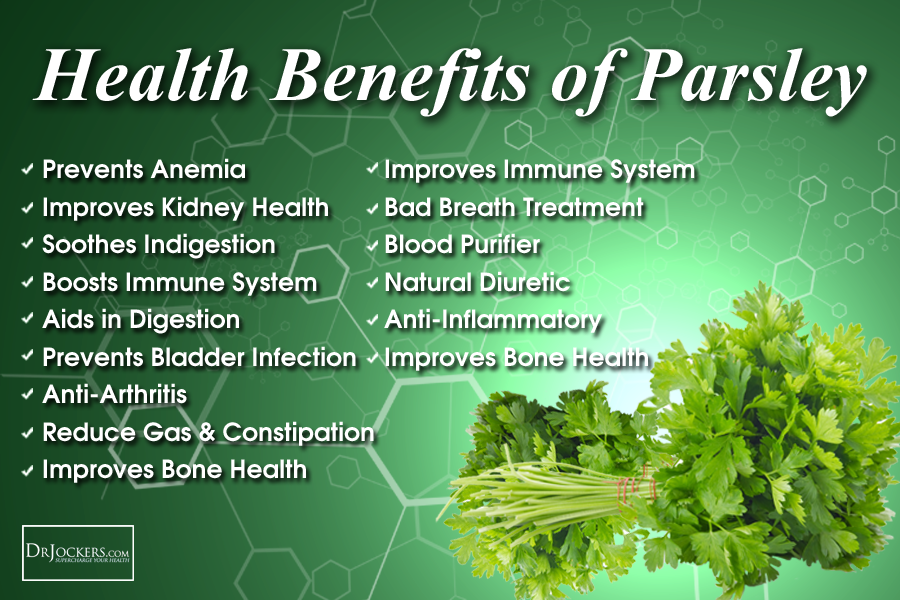 Parsley For Dogs With Kidney Failure at Ethel Elkins blog