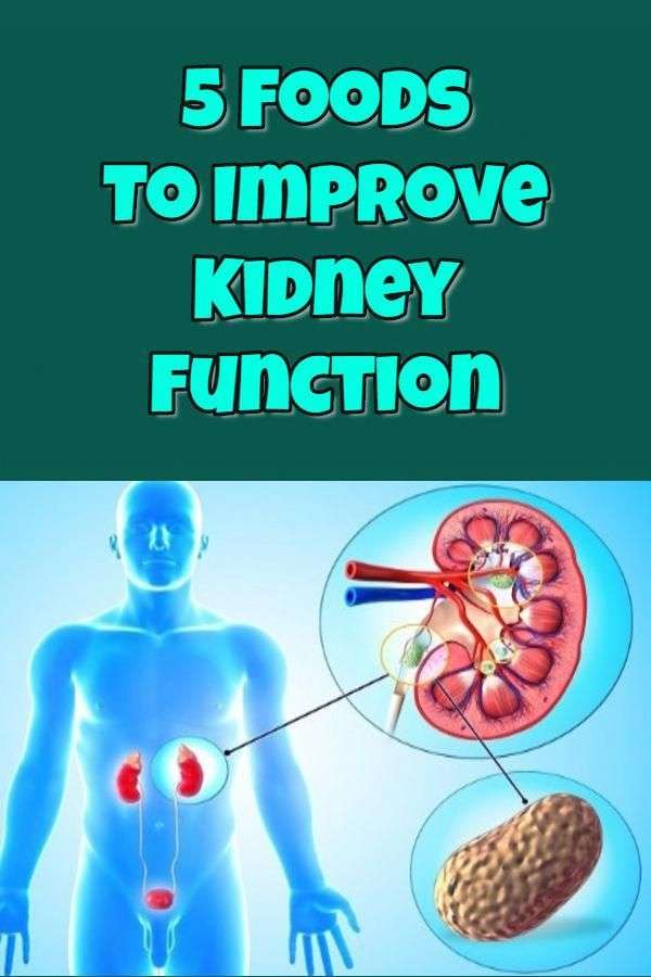 what-to-do-to-improve-kidney-function-healthykidneyclub