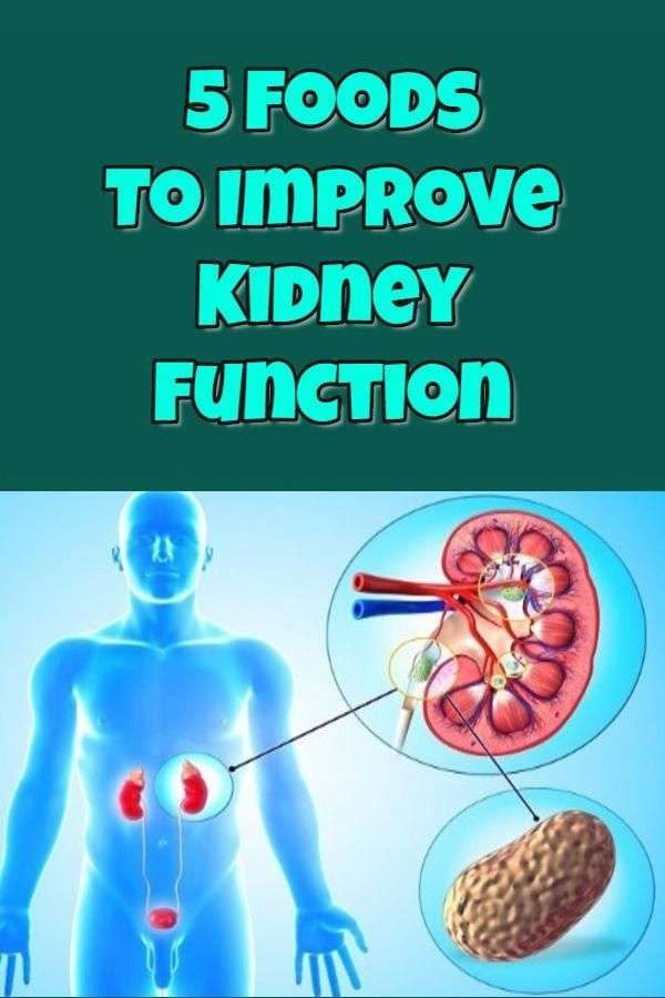 5 foods to improve kidney function