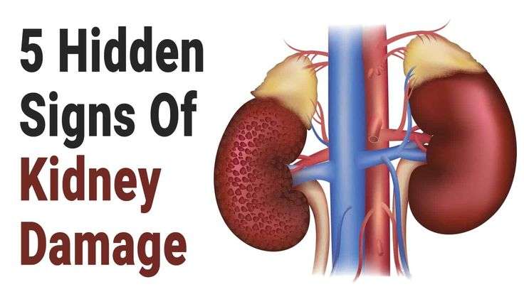 5 Hidden Signs of Kidney Damage