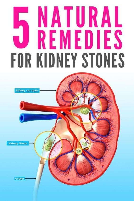 how-to-heal-kidney-infection-naturally-healthykidneyclub