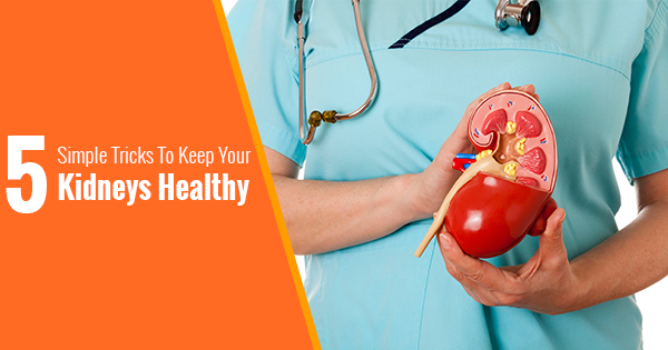 5 Simple Tricks To Keep Your Kidneys Healthy â Oncquest â Blog