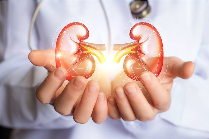5 Steps to Prevent Further Complications of Chronic Kidney ...