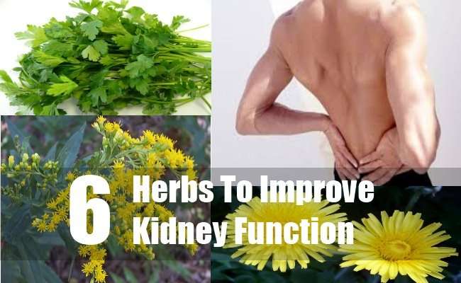 6 Effective And Simple Ways To Improve Kidney Function ...