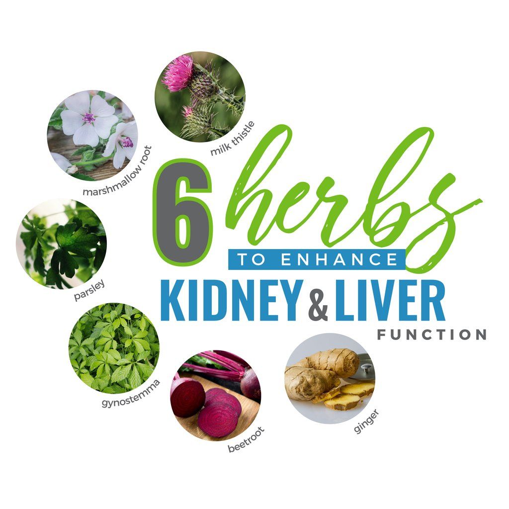 6 Herbs to Enhance Kidney and Liver Function