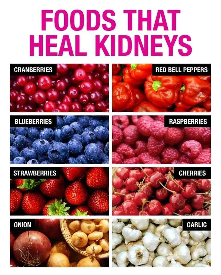 8 Foods That Heal Kidneys