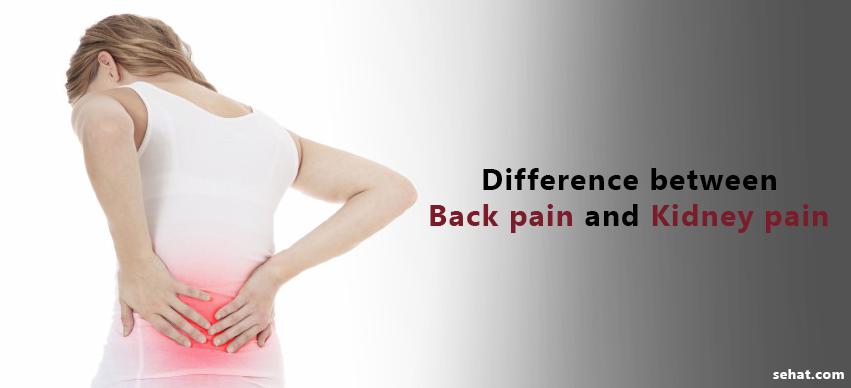 9 Major Differences Between Back Pain and Kidney Pain