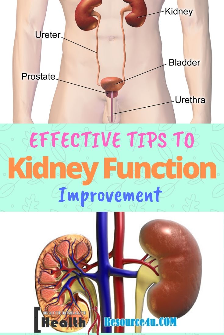 9 Most Effective Tips to Improve Kidney Function