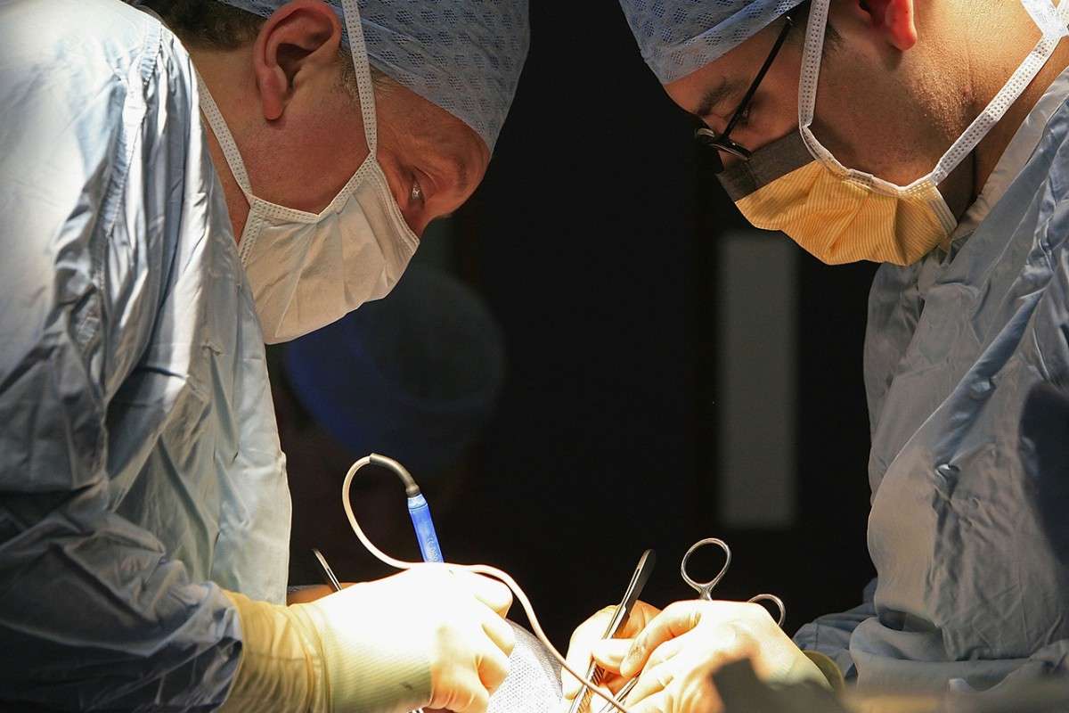 A kidney for $10,000? Paying donors actually pays off, new study finds ...