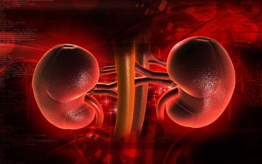 A Polycystic Kidney Disease Story: Even Though I Don
