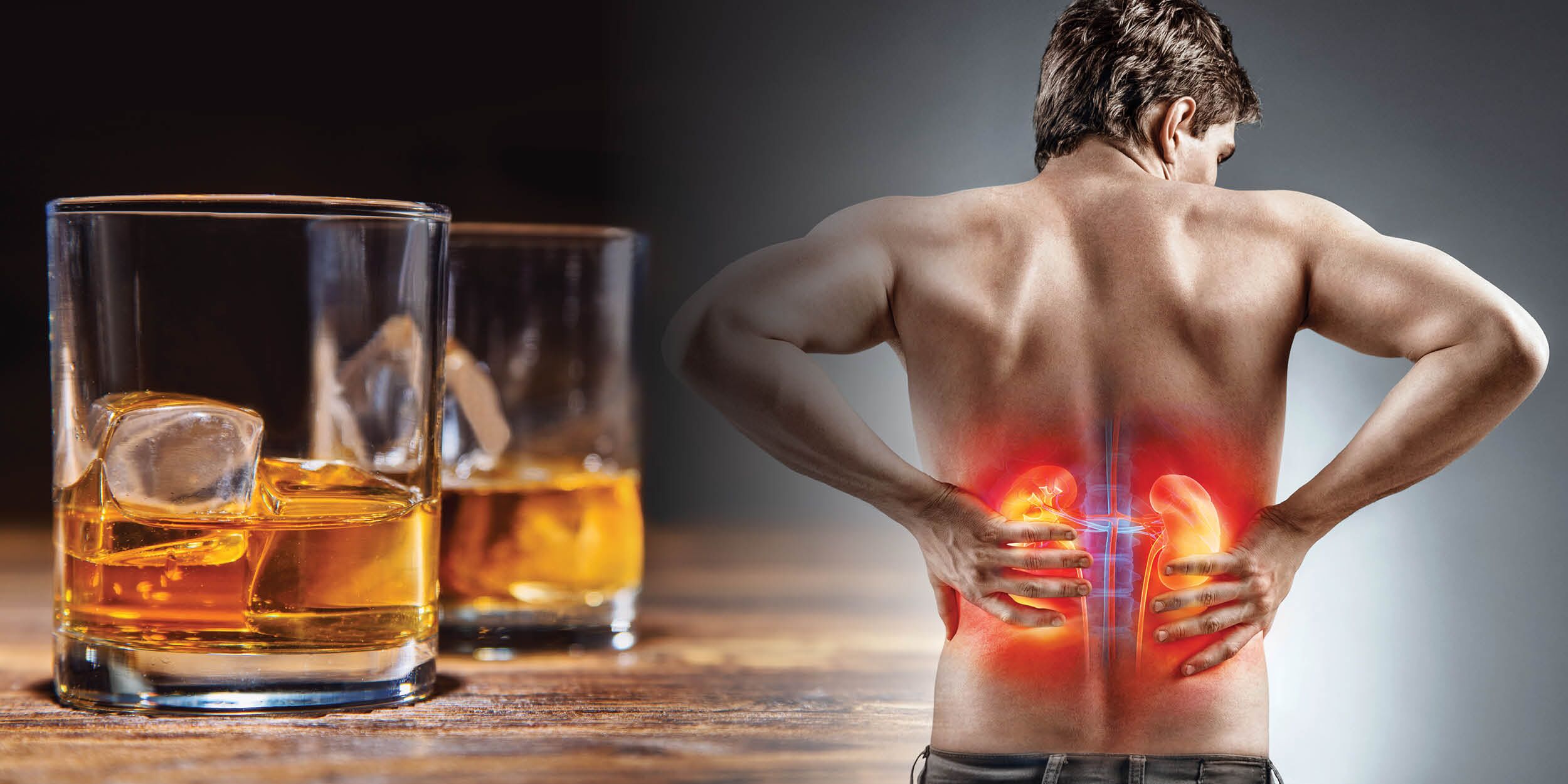 Alcohol and Your Kidneys: Symptoms &  Treatment of Kidney ...