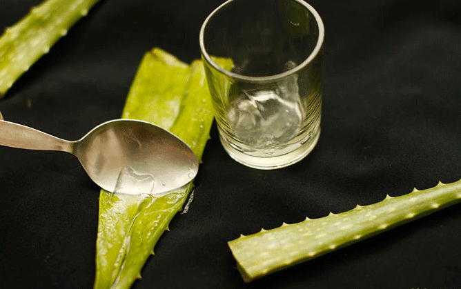 Aloe Vera Juice for Leaky Gut Syndrome ~ Healing Your ...