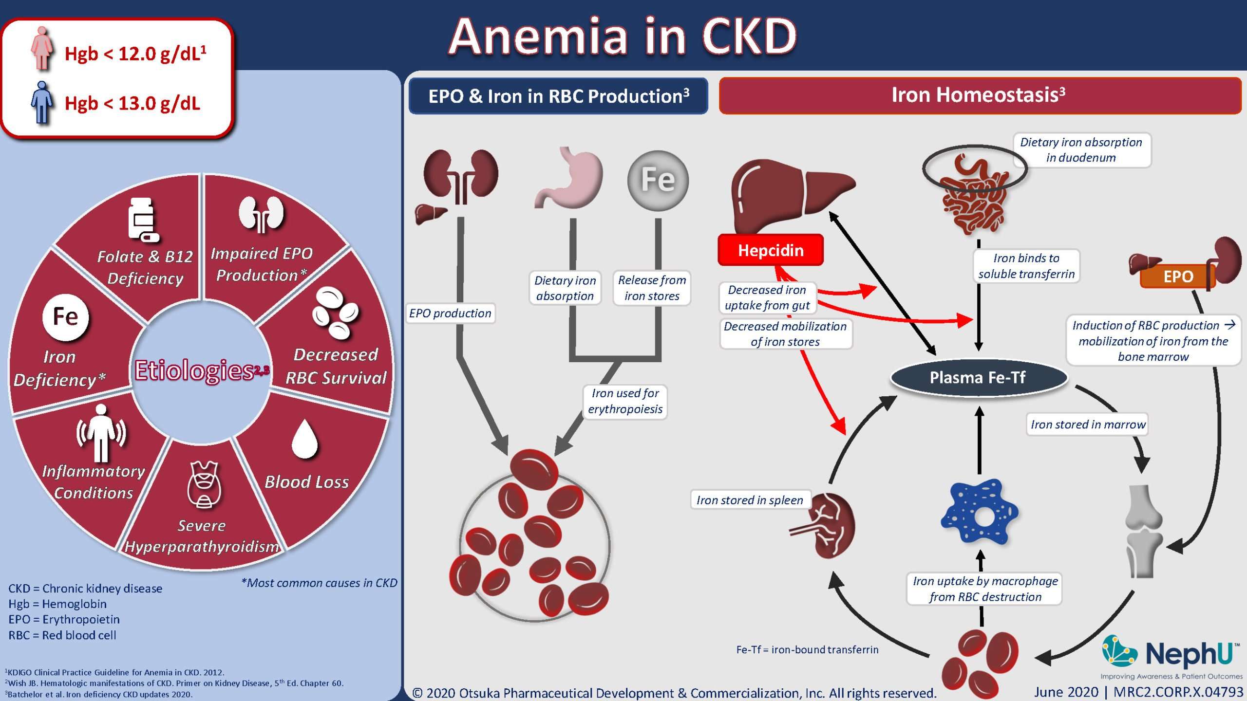 Anemia In CKD