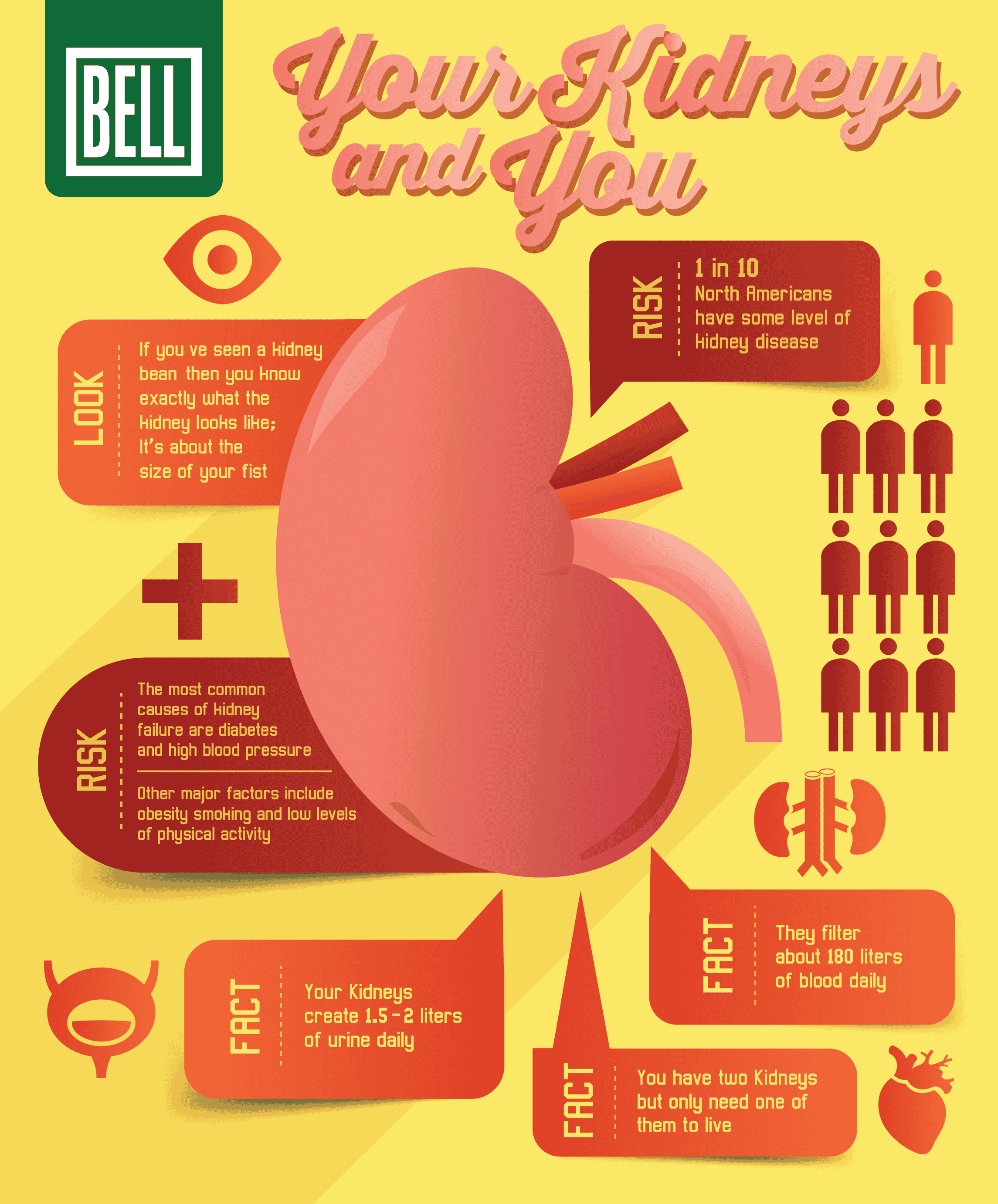 As #KidneyMonth wraps up, we have a new infographic to show you just ...