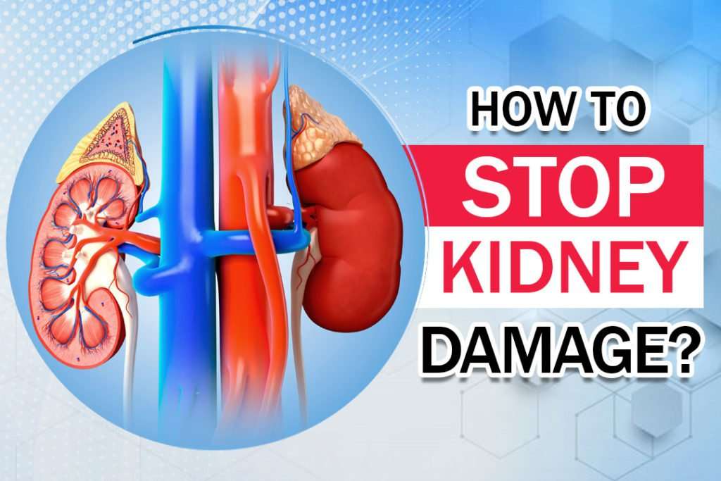 Ayurvedic kidney disease naturally stops kidney damage