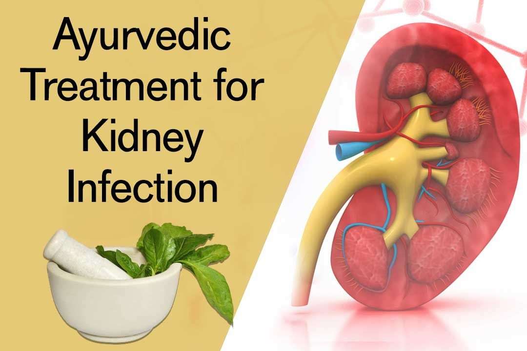 Ayurvedic treatment and medicine for kidney infection help in the ...