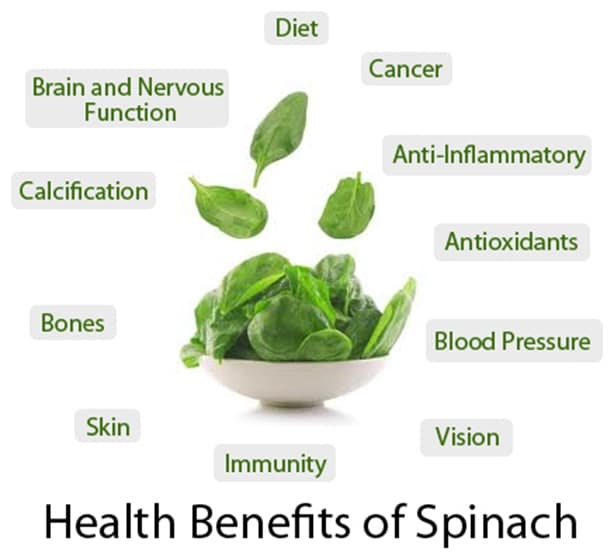 Benefits of spinach