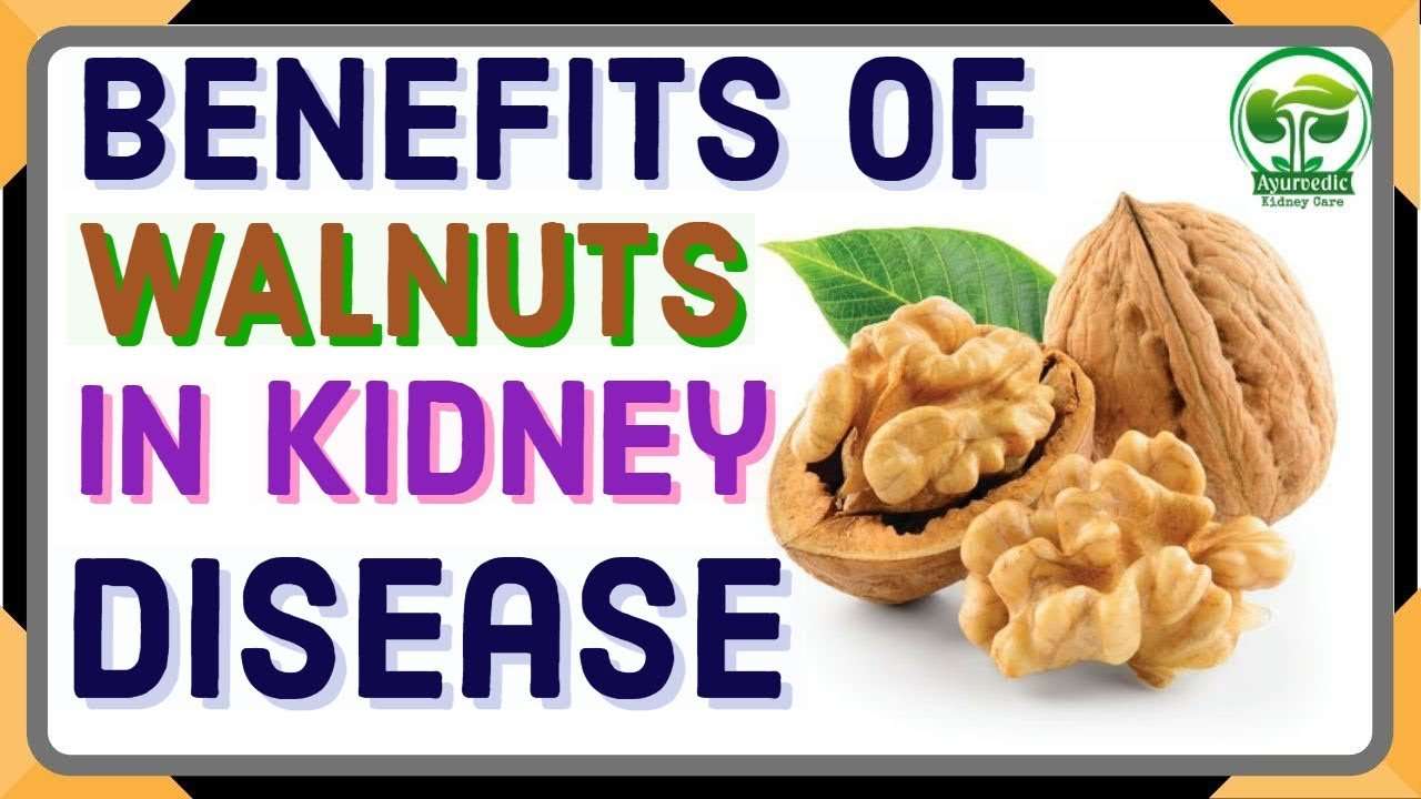 Benefits Of Walnuts For Kidney Disease