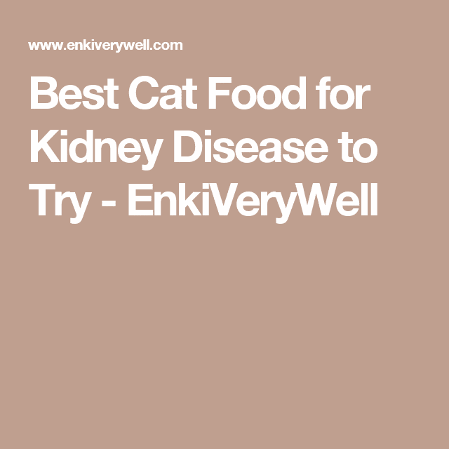 Best Cat Food for Kidney Disease to Try