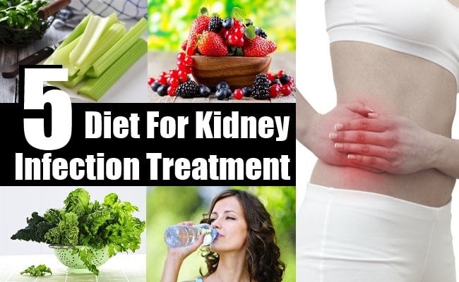 Best Diet For Kidney Infection Treatment