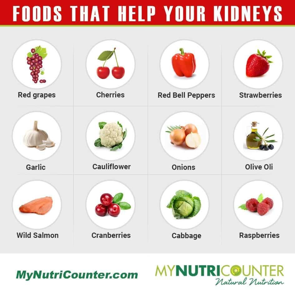 Best foods to improve your kidney function #mynutricounter # ...