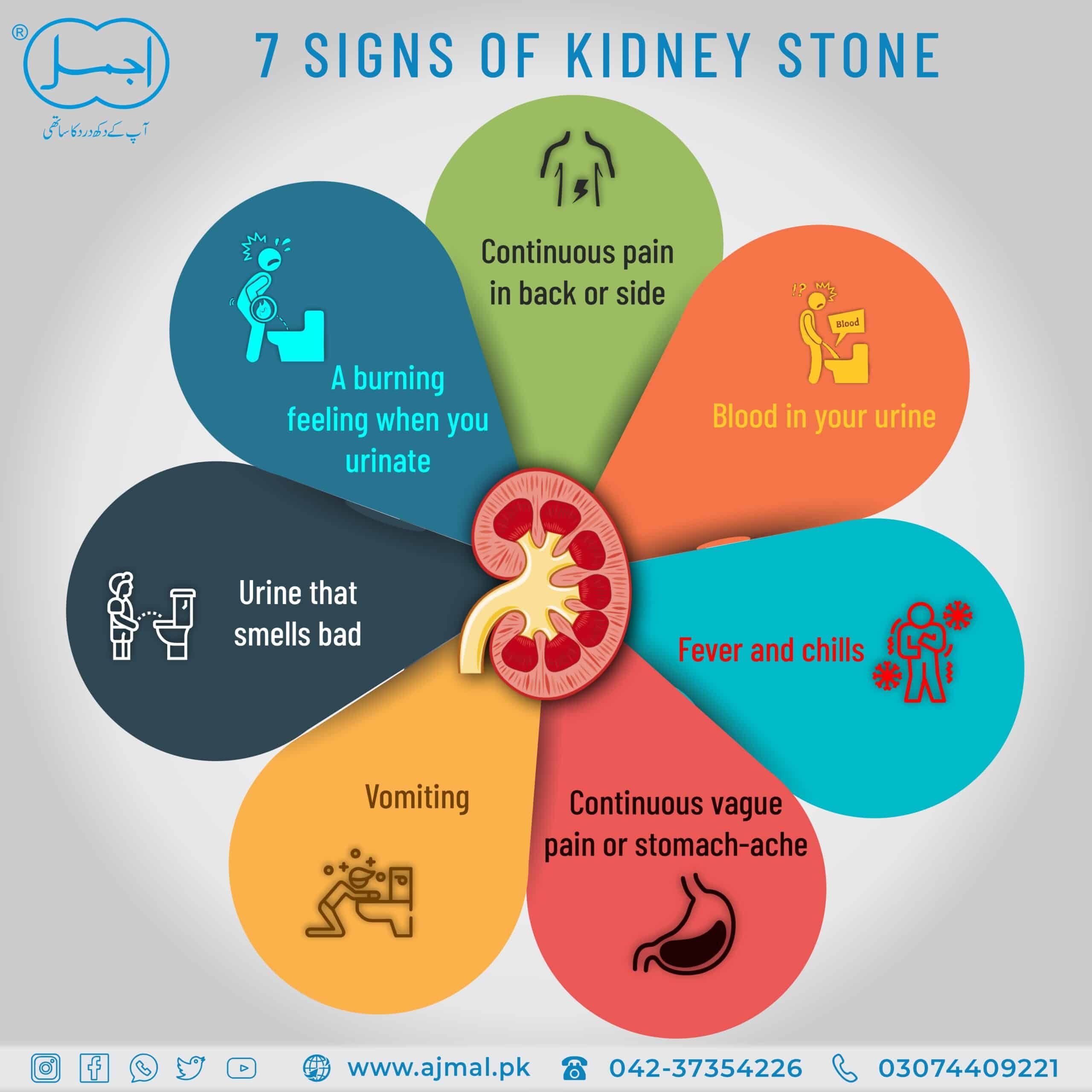 Best Natural Remedies for Strengthen Kidney You Must need to Know ...