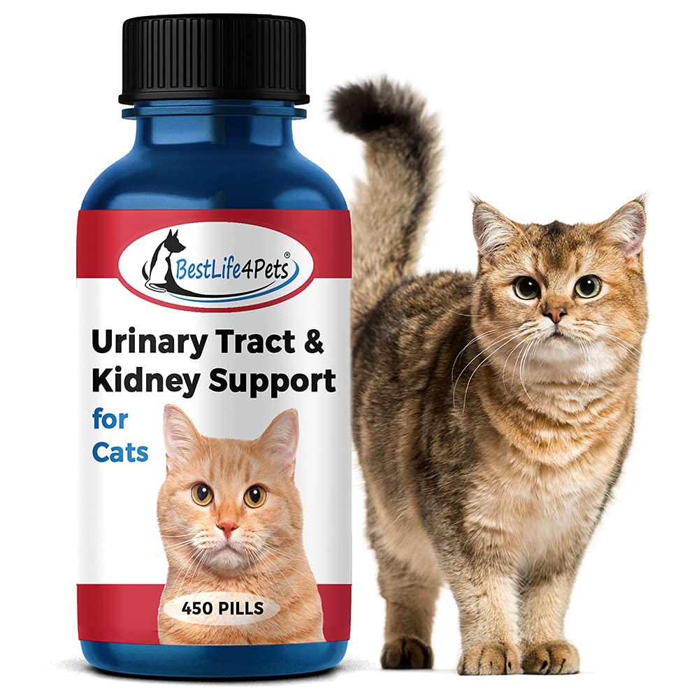 BestLife4Pets Cat UTI Urinary Tract Infection &  Kidney Support ...