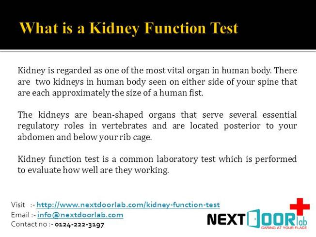 Blood Test for Kidney Function