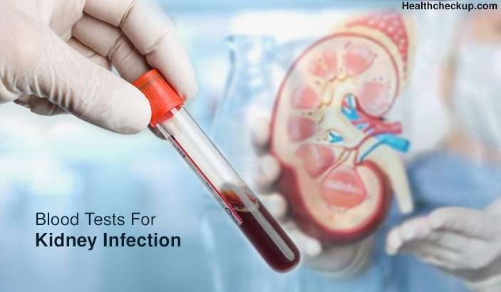 Blood Tests For Kidney Infection