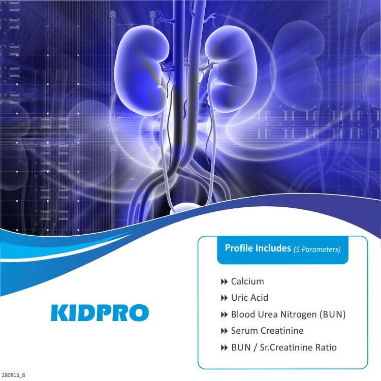 Book Kidney Function Test (KFT/RFT) Online at 50% Discount