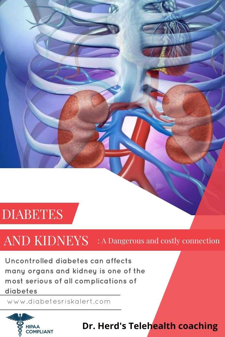 Can Kidney Damage Be Reversed In Diabetics