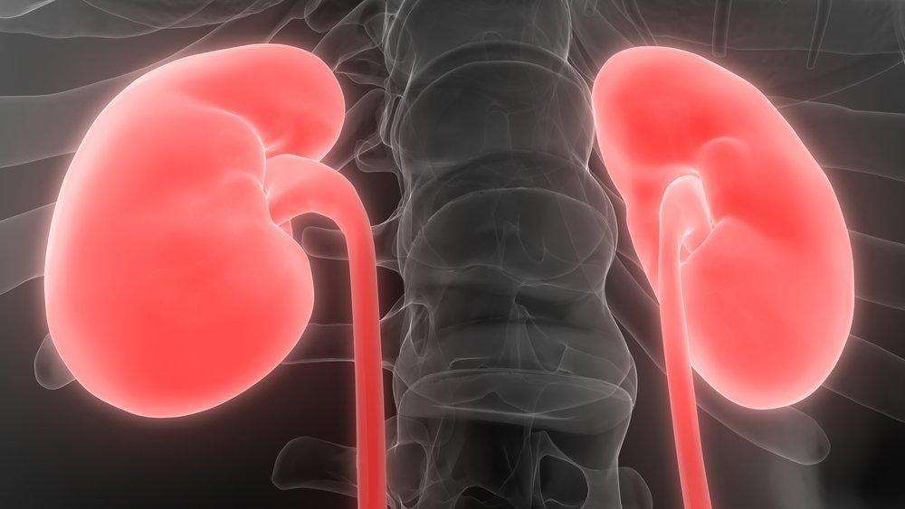 Can Kidney Problems Cause High Blood Sugar - HealthyKidneyClub.com