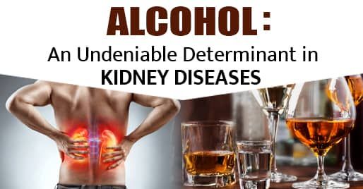 Can Kidneys Repair After Alcohol Damage