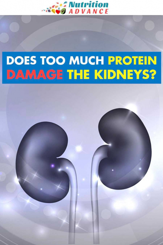Can Too Much Protein Cause Kidney Damage?