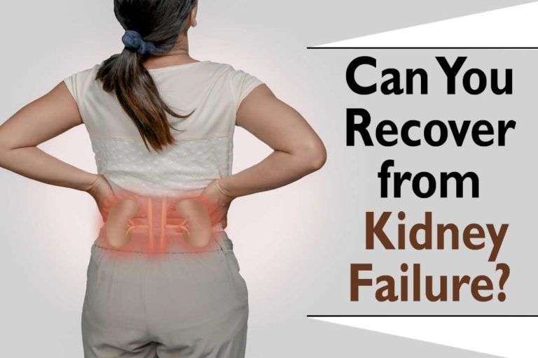 Can you recover from kidney failure? its Ayurved Treatment ...