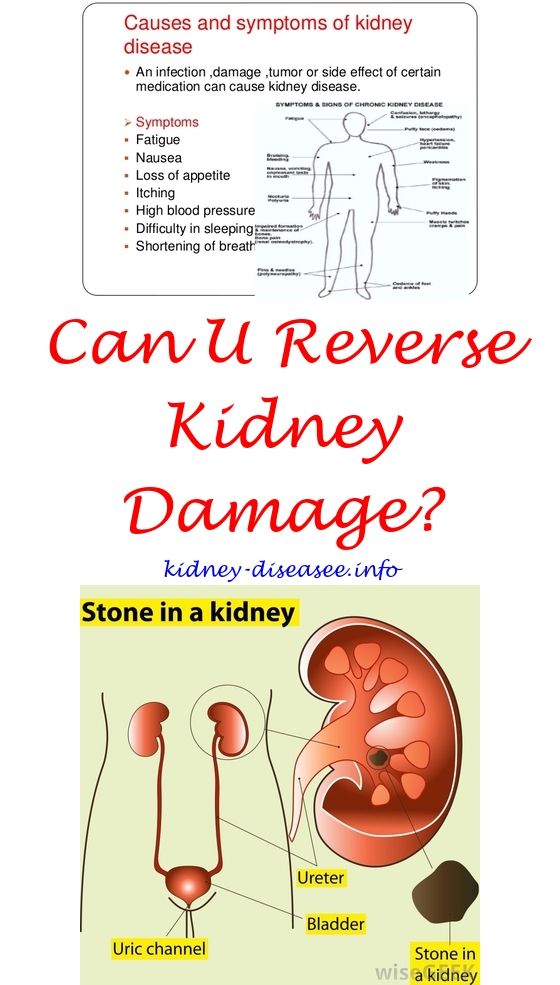 Can you reverse kidney damage from high pressure ...