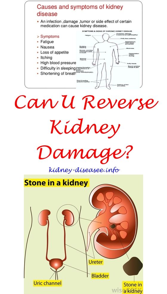 How To Reverse Kidney Failure In Dogs HealthyKidneyClub