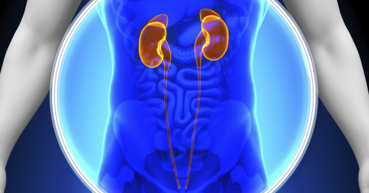 Causes for an Enlarged Kidney